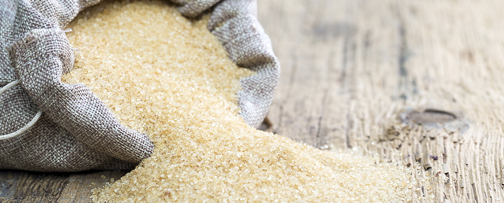 sugar cane industrial mill processing plant in Brazil